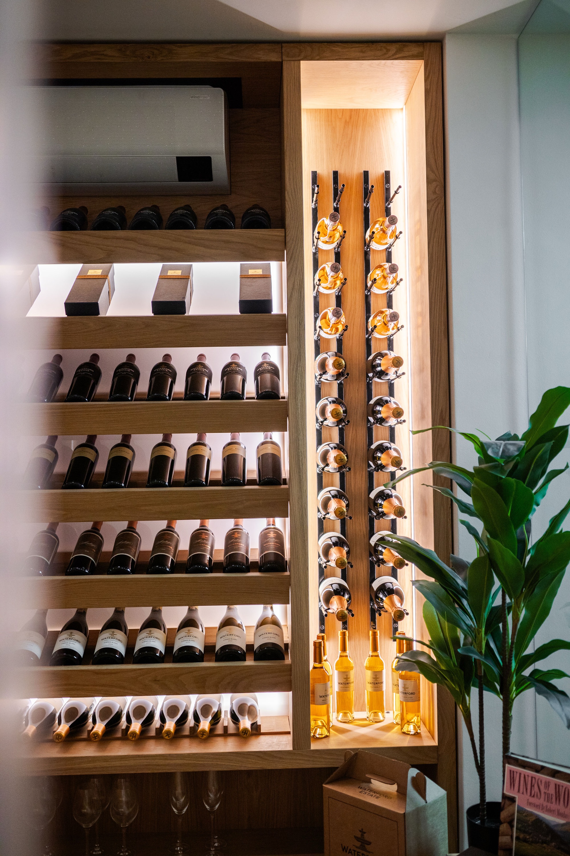 Waterford Estate wine cellar, Stellenbosch — Riva One partner
